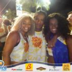 Bloco Skol Folia